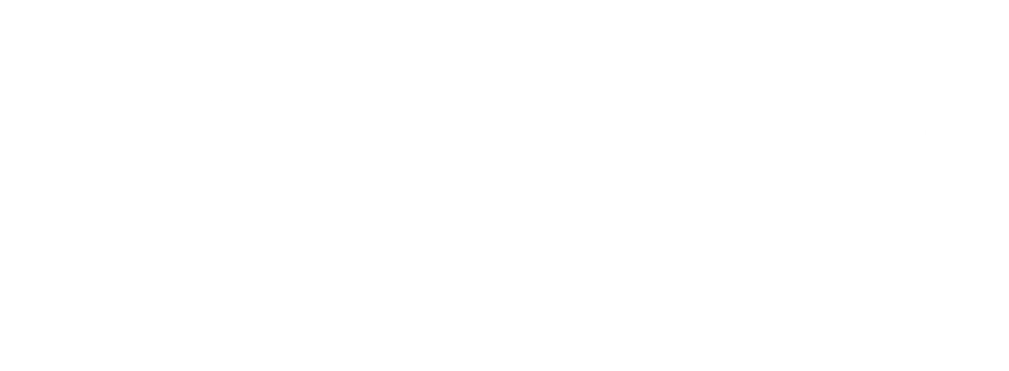 The Wash'd Clean Company